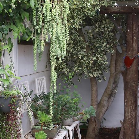 Gilcrest Place Guest House Paternoster Luaran gambar